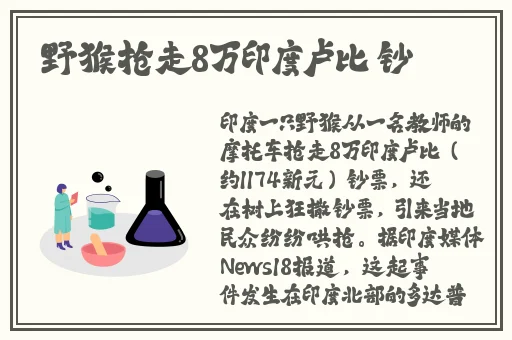 国产办公室沙发系列高清